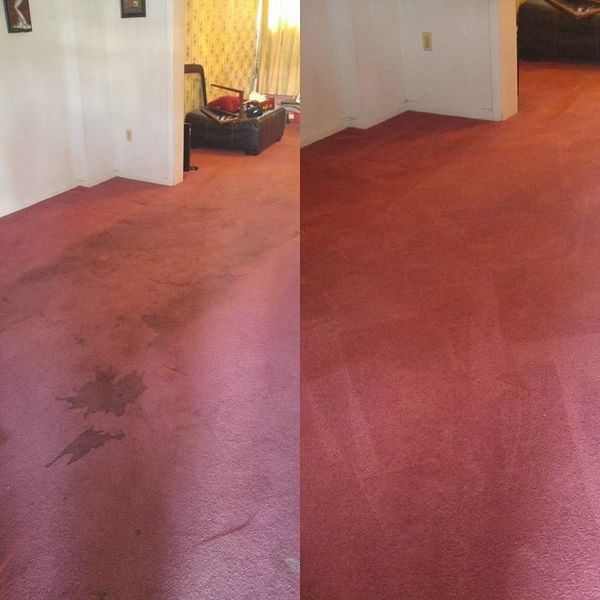 Before & After Carpet Restoration in Baltimore, MD (1)