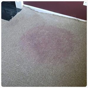 Before & After Carpet Stain Removal in Rosedale, MD (1)