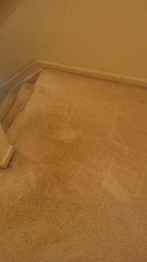 Before & After Carpet Cleaning in Essex, MD (2)