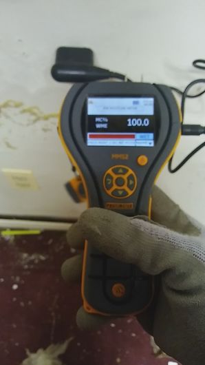 Mold Detection in Baltimore, MD (1)