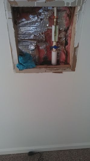 Mold Detection in Baltimore, MD (5)