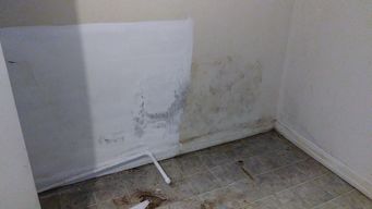 Before & After Mold Removal in Baltimore, MD (1)