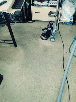 Carpet Cleaning in Baltimore, MD (2)