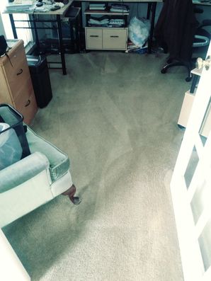 Carpet Cleaning in Baltimore, MD (3)