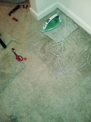 Carpet Cleaning in Baltimore, MD (1)