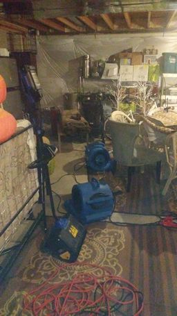Mold Removal in Baltimore, MD (3)