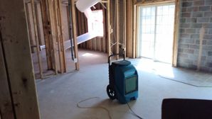 Mold Remediation in Baltimore, MD (3)