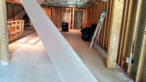 Mold Remediation in Baltimore, MD (2)
