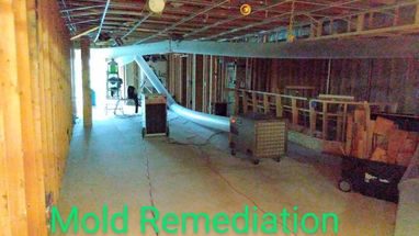 Mold Remediation in Baltimore, MD (9)