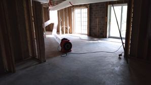 Mold Remediation in Baltimore, MD (5)