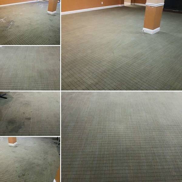 Before & After Carpet Cleaning in Essex, MD (1)